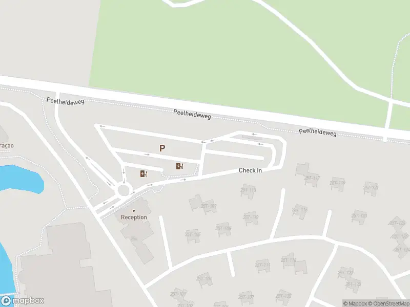 Brandweer met gepaste spoed naar de Peelheideweg in America