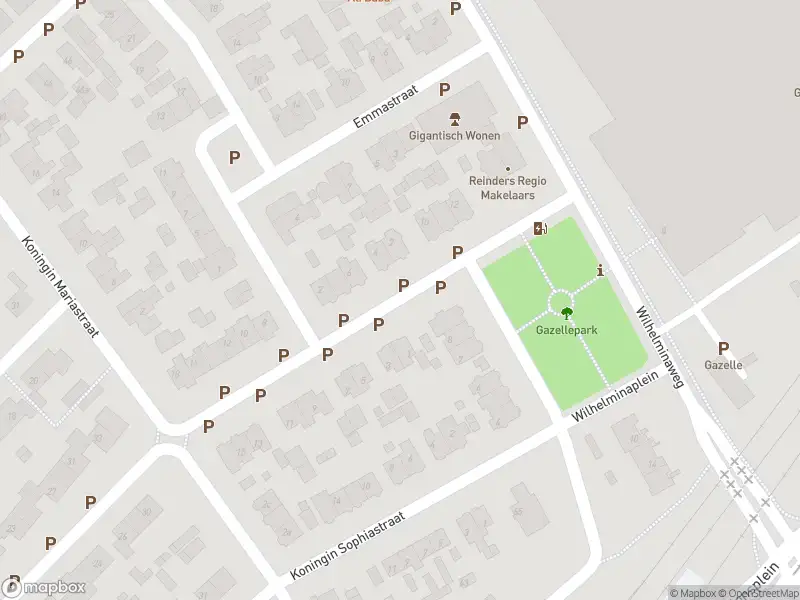 Overlastmelding Oranje Nassaustraat in Dieren