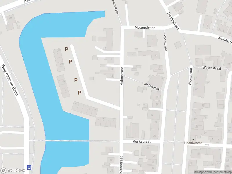 Brandweer met grote spoed naar de Molenstraat in Bad Nieuweschans