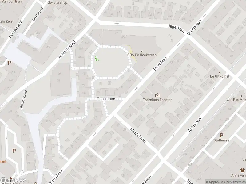 Brandweer met gepaste spoed naar de Weeshuislaan in Zeist