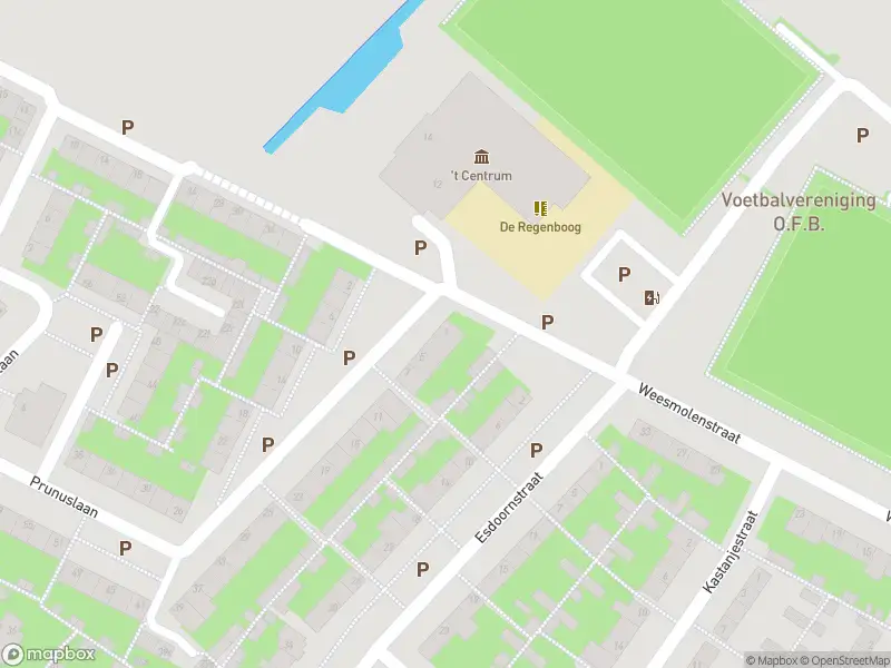 Ambulance met grote spoed naar de Prunuslaan in Ooltgensplaat