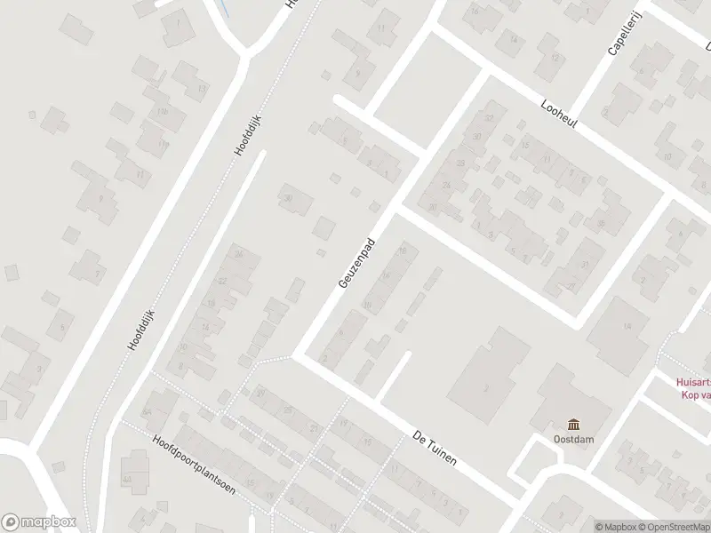 Ambulance met gepaste spoed naar de Geuzenpad in Goedereede