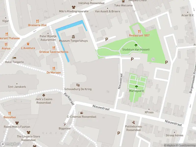 Politie met grote spoed naar de Brugstraat in Roosendaal vanwege letsel