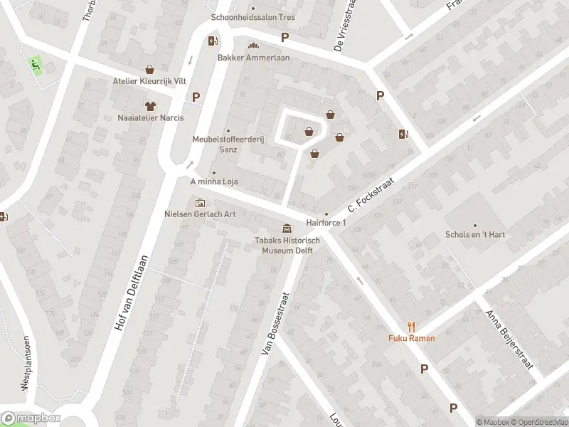 Ambulance en brandweer met grote spoed naar de Van der Brugghenstraat in Delft vanwege grote brand