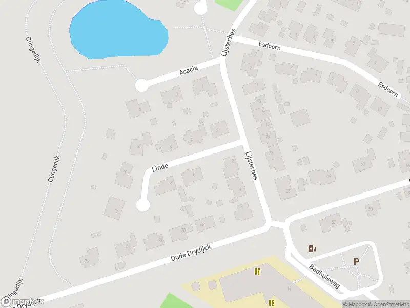 Overlastmelding Linde in Sint Jansteen