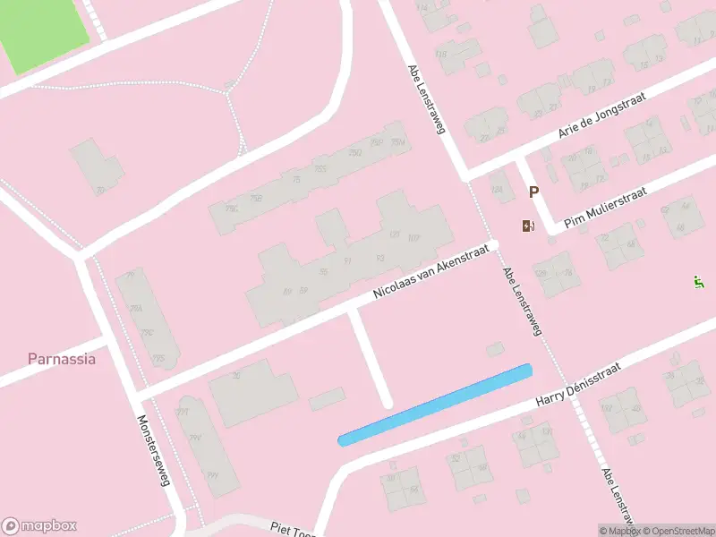 Ambulance met gepaste spoed naar de Nicolaas van Akenstraat in 's-Gravenhage