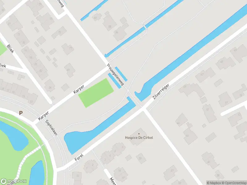 Overlastmelding Vrouwgelenweg in Hendrik-Ido-Ambacht