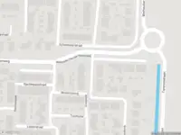 Overlastmelding Goudvink in Numansdorp