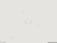 Traumahelikopter met grote spoed naar de Vogelweg in Zeewolde