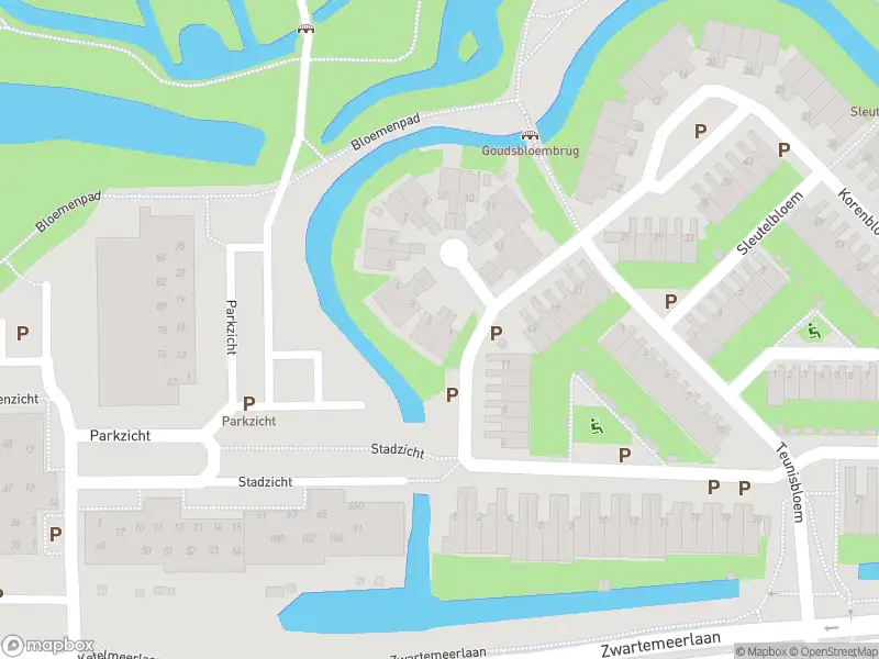 Ambulance met gepaste spoed naar de Goudsbloem in Leiden