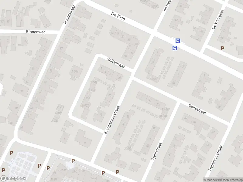 Overlastmelding Spitsstraat in Tolkamer gesloten