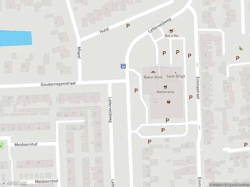 Brandweer met gepaste spoed naar de Meidoornhof in Borne vanwege afhijsen patient