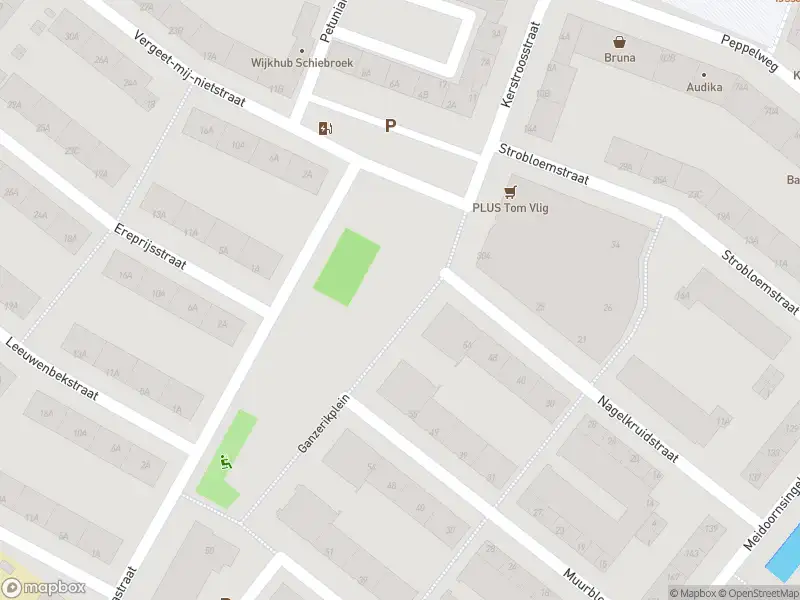 Ambulance met grote spoed naar de Ganzerikplein in Rotterdam