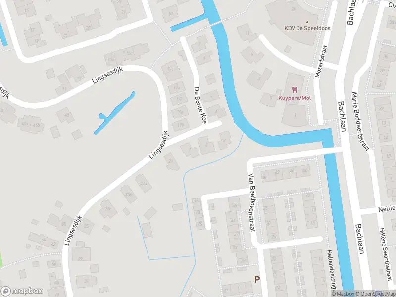 Ambulance met grote spoed naar de De Bonte Koe in Gorinchem