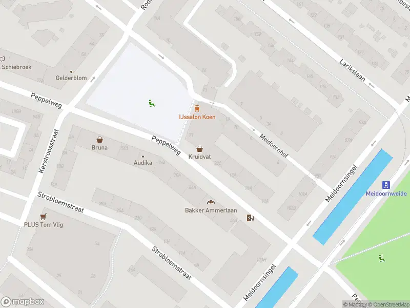 Ambulance met gepaste spoed naar de Peppelweg in Rotterdam