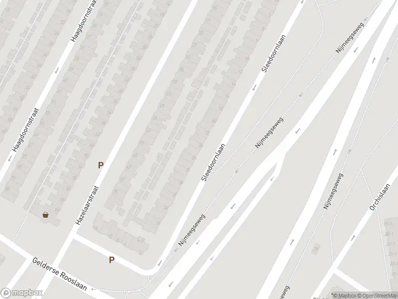 Overlastmelding Sleedoornlaan in Arnhem