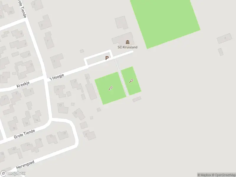 Brandweer en politie met grote spoed naar de Graaf Engelbrechtstraat in Kruisland vanwege waarnemen gaslucht