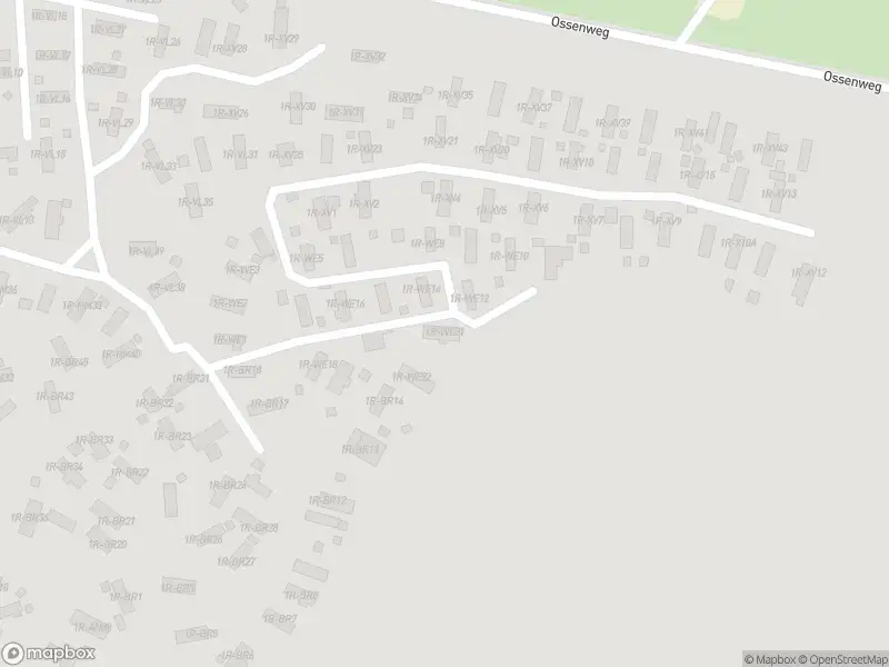 Ambulance met gepaste spoed naar de Palmenhuizerweg in Harskamp