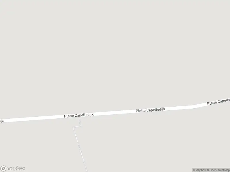 Brandweer met gepaste spoed naar de Platte Capelledijk in Nieuwerkerk