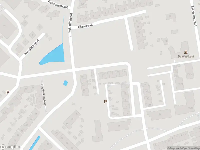 Brandweer met gepaste spoed naar de Zilverschoonstraat in Goes