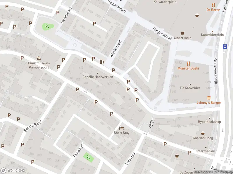 Brandweer met gepaste spoed naar de Nachtegaalstraat in Zwolle