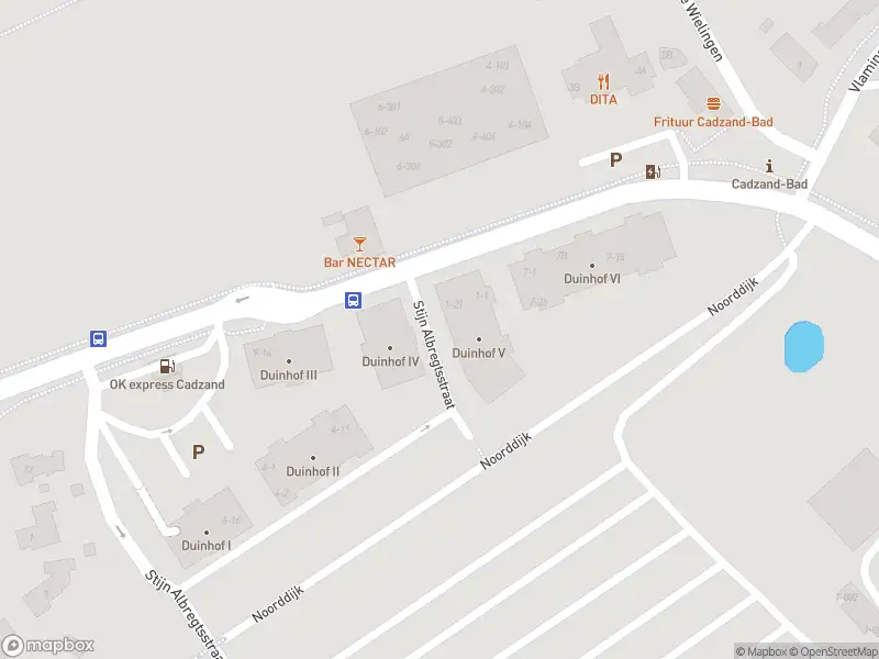 Brandweer met gepaste spoed naar de Stijn Albregtsstraat in Cadzand