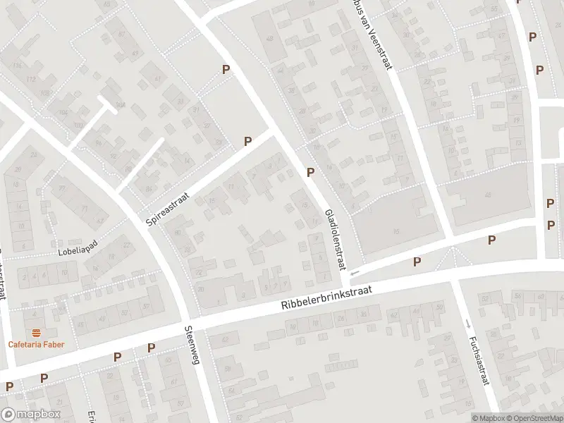 Brandweer met gepaste spoed naar de Dotterbloemstraat in Enschede