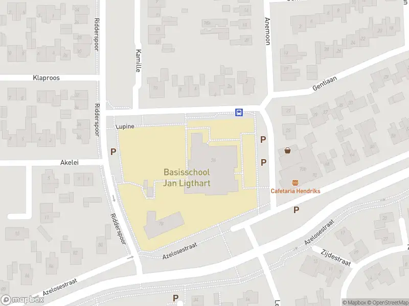 Brandweer met grote spoed naar de Oonksweg in Borne vanwege middelgrote brand