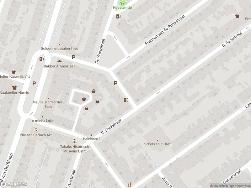 Brandweer met gepaste spoed naar de Van Hallstraat in Delft