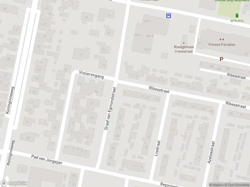 Ambulance met grote spoed naar de Ribesstraat in Oud-Beijerland