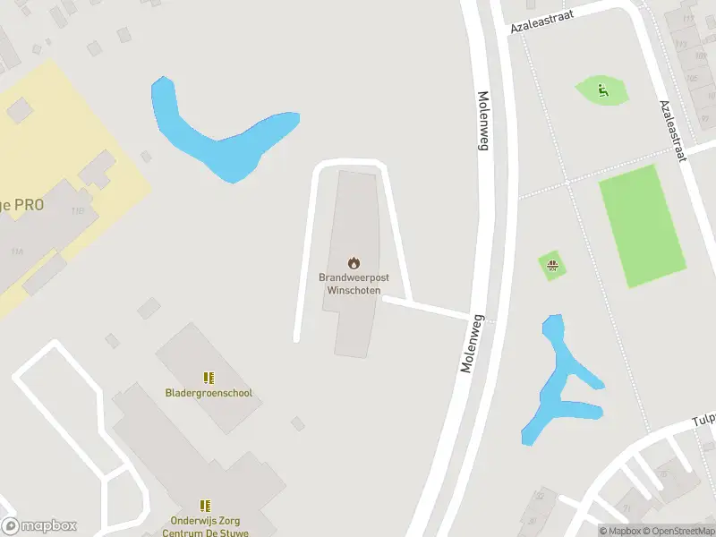 Brandweer met grote spoed naar de Molenweg in Winschoten