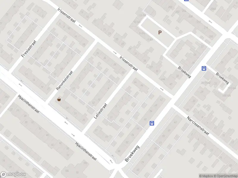 Brandweer met grote spoed naar de Leliestraat in Lisse vanwege schoorsteenbrand