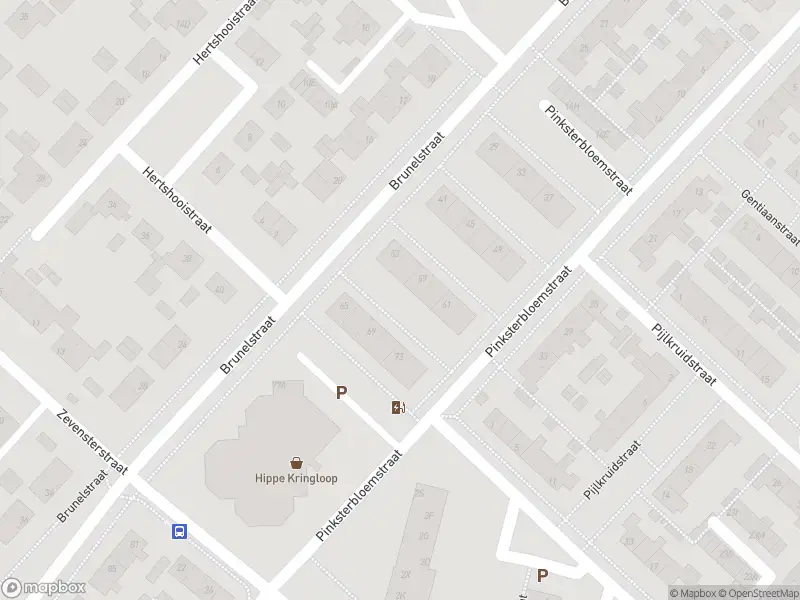 Brandweer met gepaste spoed naar de Speenkruidstraat in Assen