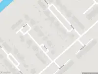 Overlastmelding Dille in 1705RG Heerhugowaard