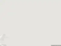 Brandweer met gepaste spoed naar de Zalkerveerweg in Zwolle