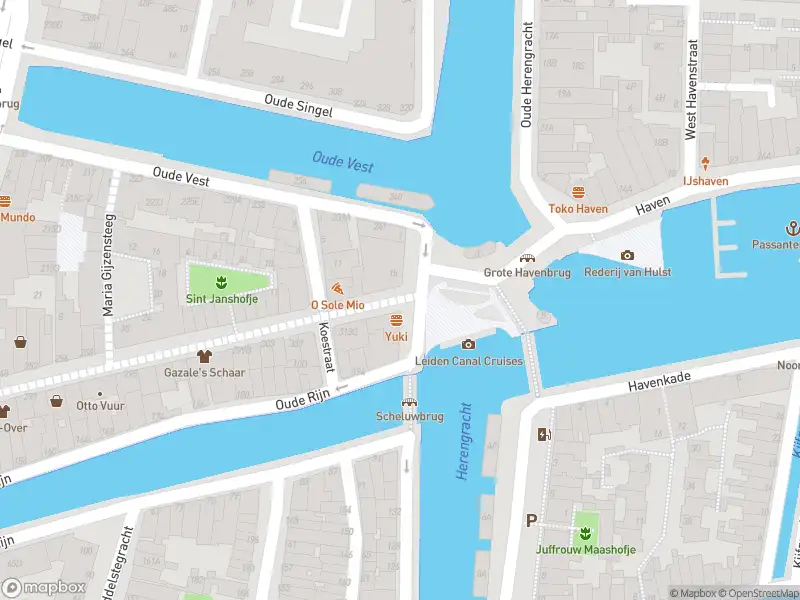 Ambulance met grote spoed naar de Haven in Leiden