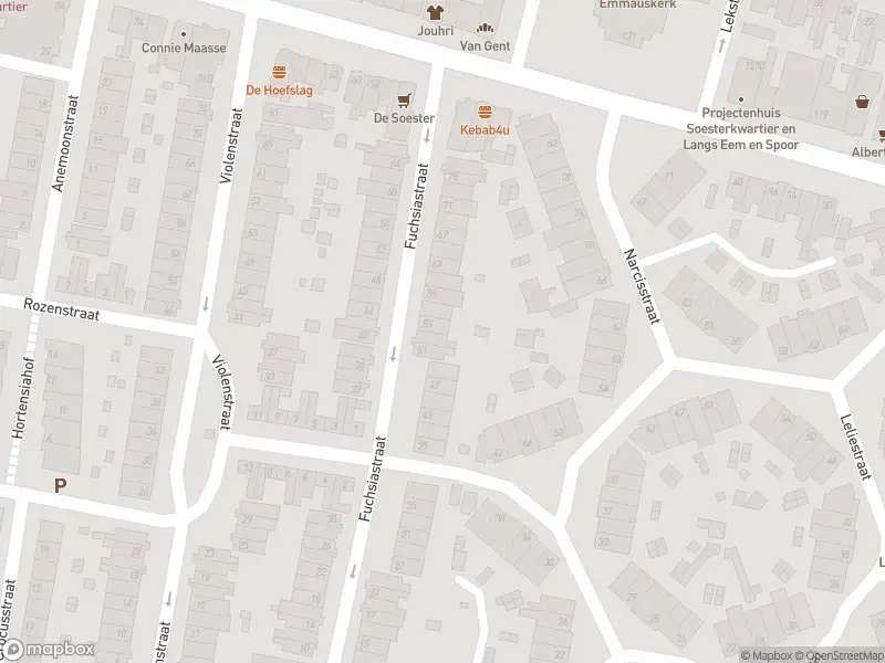 Brandweer met grote spoed naar de Noordewierweg in Amersfoort vanwege reanimatie