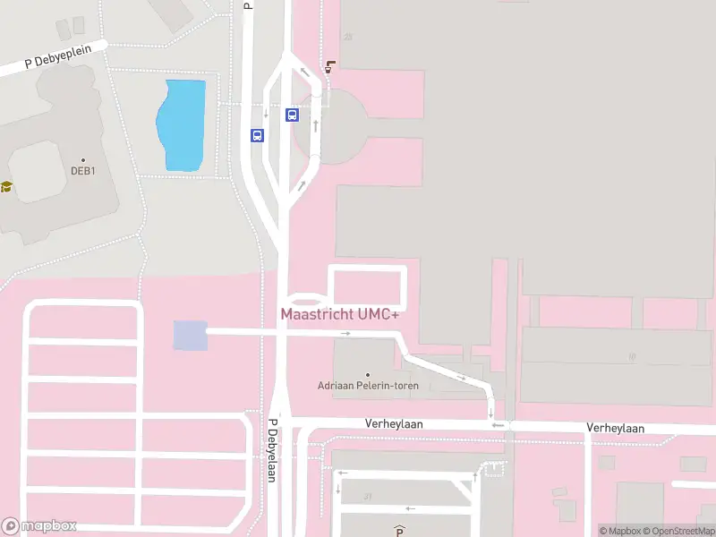 Politie naar de P Debyelaan in Maastricht vanwege aanrijding met letsel