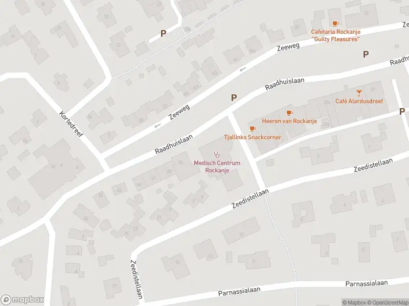 Ambulance met grote spoed naar de Duindoornlaan in Rockanje