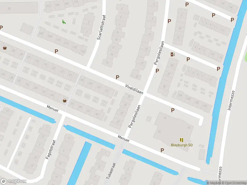 Overlastmelding Busonisingel in 3363KA Sliedrecht