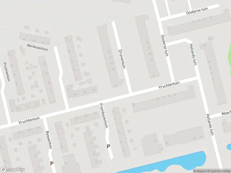 Ambulance met gepaste spoed naar de Druiventuin in Rotterdam