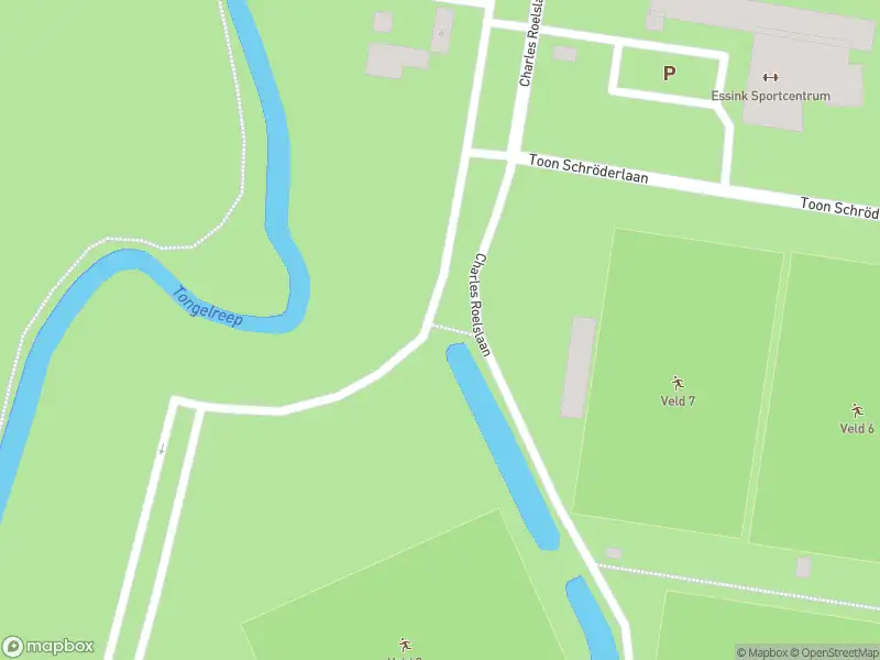 Overlastmelding Charles Roelslaan in Eindhoven