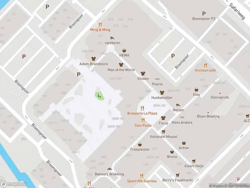 Overlastmelding Bisonspoor in 3605KZ Maarssen