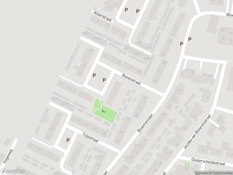 Brandweer met gepaste spoed naar de Rozenstraat in Sint-Maartensdijk