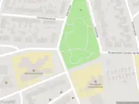 Brandweer met gepaste spoed naar de Burgemeester Cambier van Nootenlaan in Tiel