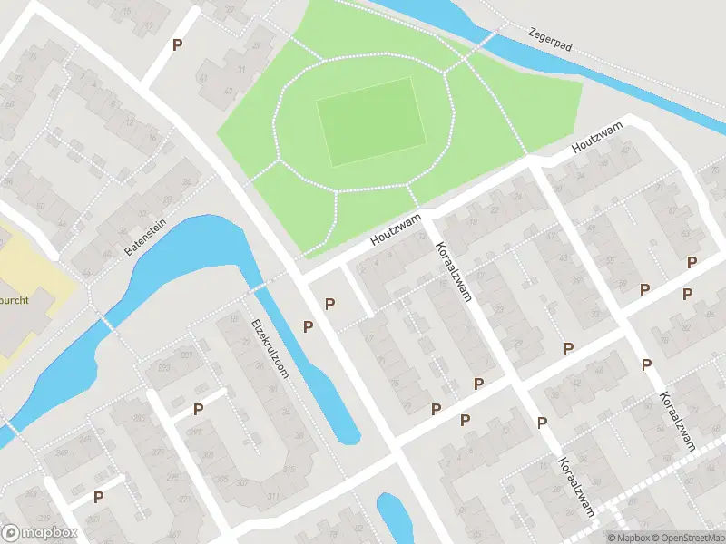 Ambulance met gepaste spoed naar de Houtzwam in Alphen aan den Rijn