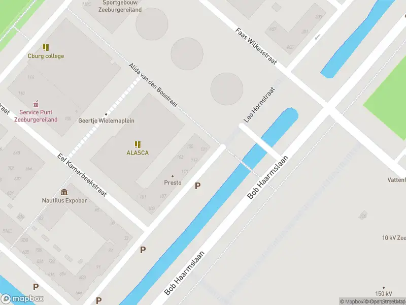 Brandweer met gepaste spoed naar de Leo Hornstraat in Amsterdam