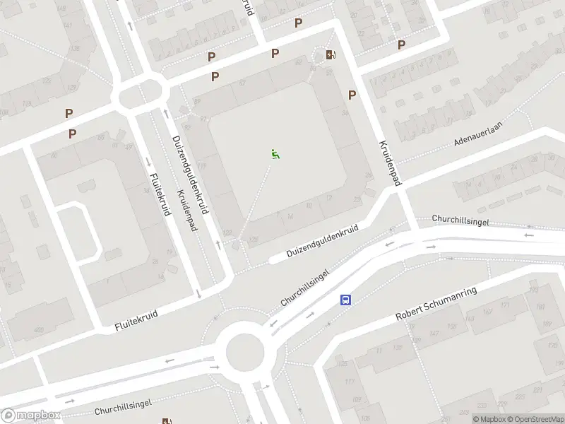 Ambulance met gepaste spoed naar de Duizendguldenkruid in Vlaardingen