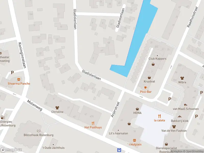 Ambulance met gepaste spoed naar de Gladiolenlaan in Rozenburg