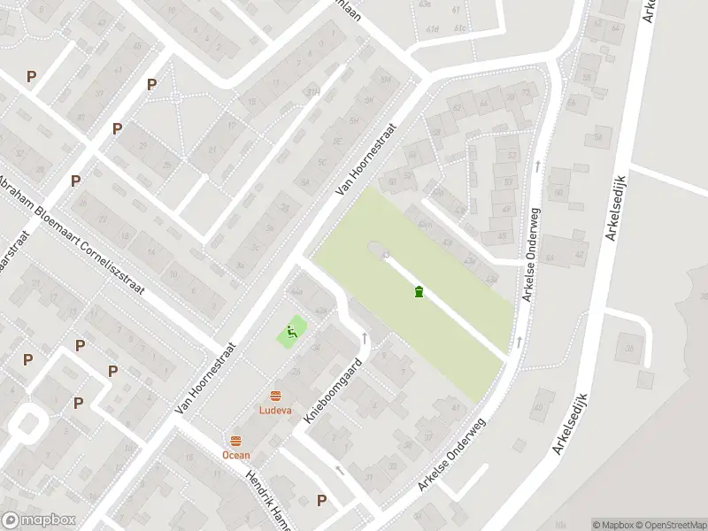 Ambulance met gepaste spoed naar de Van Hoornestraat in Gorinchem